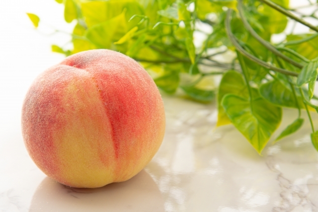 甲州さくらんぼ狩り＆初物の桃収穫！たまたびフルーツフェスティバル！