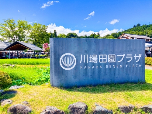 さくらんぼ狩り食べ放題＆うれしいお土産1箱付！　人気の道の駅で買物＆ランチ