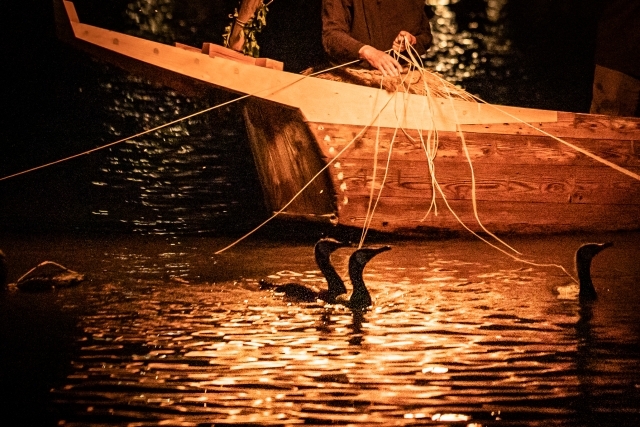 日本三大祭り「京都祇園祭り」と夏の風物詩「長良川鵜飼い」2泊3日の旅