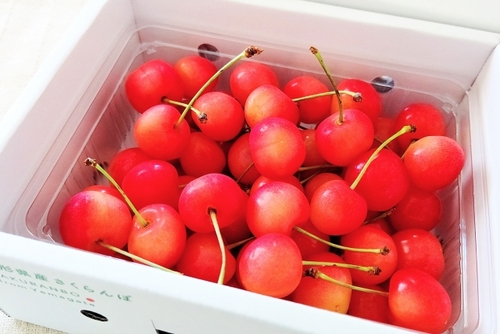 さくらんぼ狩り食べ放題＆うれしいお土産1箱付！　人気の道の駅で買物＆ランチ