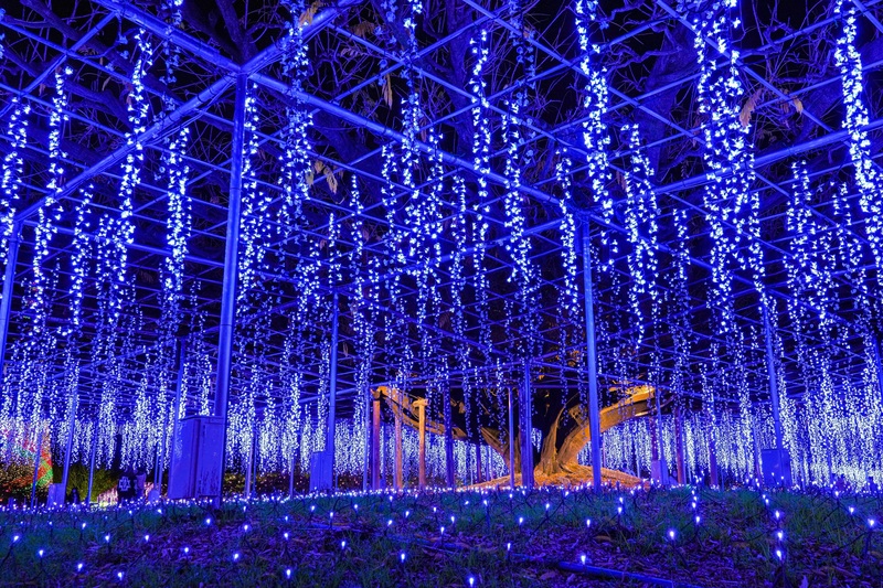 花の楽園が贈る光の世界 あしかがフラワーパーク イルミネーション 光の箱の庭