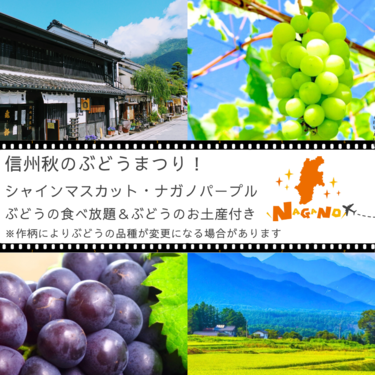 信州秋のぶどうまつり 信州ぶどう食べ放題♪シャインマスカット＆ナガノパープル