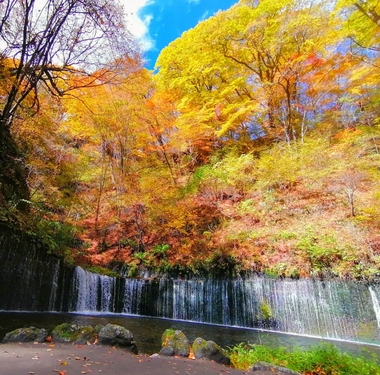 秋色に染まる少しぜいたくな旅へ　大人の軽井沢～のんびり旧軽井沢・白糸の滝へ～