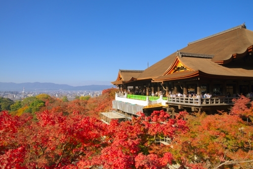 たっぷり京都紅葉めぐり♪ホテル京都エミナース　東福寺・大原・嵐山・清水寺へ