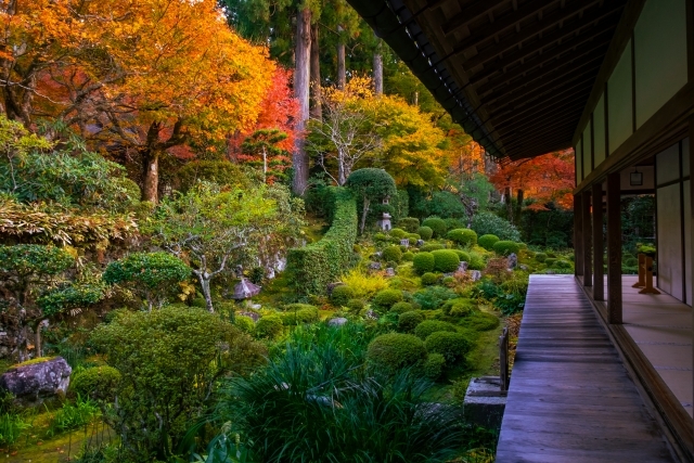 たっぷり京都紅葉めぐり♪ホテル京都エミナース　東福寺・大原・嵐山・清水寺へ