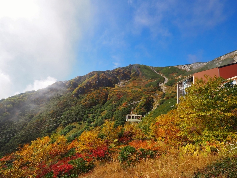 標高2612ｍ雲の上の紅葉！中央アルプス駒ケ岳ロープウェイで行く千畳敷カール