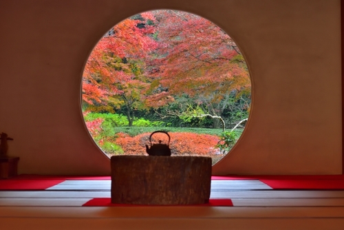 秋色に染まる古都ぶらり旅～錦秋の古都鎌倉へ～　鎌倉鉢の木「季節膳」～