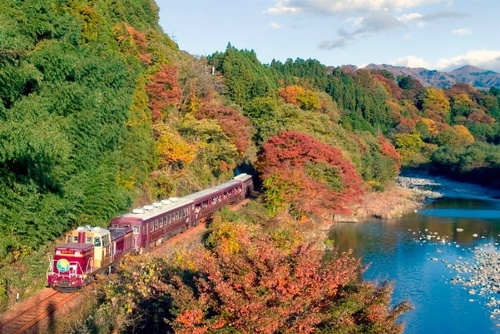 紅葉の新名所！　宝徳寺の床もみじ