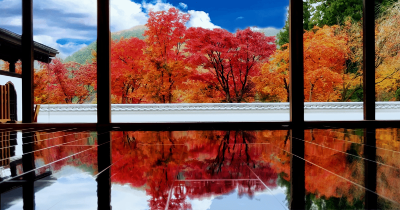 紅葉の新名所！　宝徳寺の床もみじ