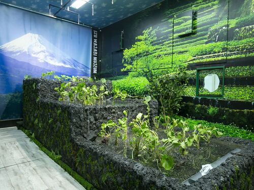 伊豆の味覚と老舗の味 伊豆うなぎ＆メロン　沼津うなぎ専門店 沼津京丸