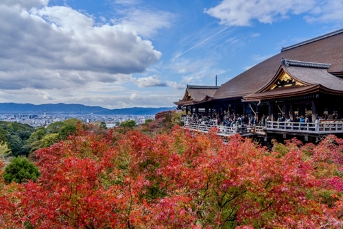 【うれしい京都2泊】厳選京都の紅葉　たっぷり京都・紅葉めぐり