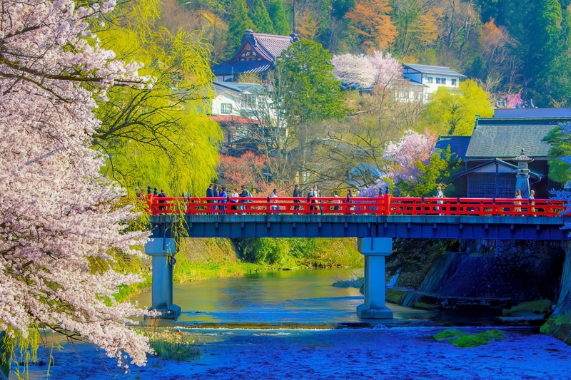絶景の宿 日本三名泉！下呂温泉「くさかべアルメリア」　桜咲く飛騨・木曽路