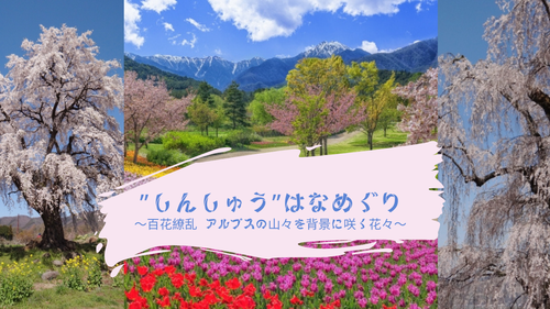山々と桜の絶景を訪ねて・・信州松代温泉メルキュール長野松代リゾート＆スパ