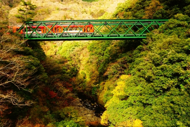 秋の 箱根路