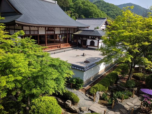 美しいみどりのいやしの空間へ　宝徳寺の床もみじ～新緑の特別公開～
