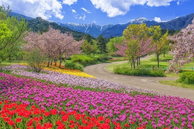 山々と桜の絶景を訪ねて・・信州松代温泉メルキュール長野松代リゾート＆スパ