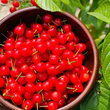 どこに行くのかはお楽しみ！？たま旅きまま旅～初夏の巻～