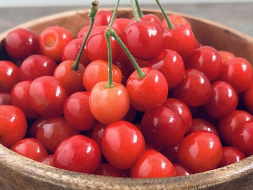 どこに行くのかはお楽しみ！？たま旅きまま旅～初夏の巻～