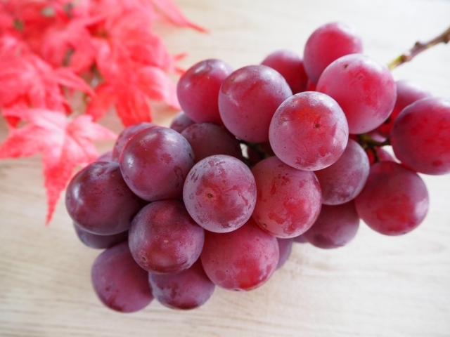 高級ぶどうピオーネ狩り食べ放題！富士山麓の花畑と高原バイキング