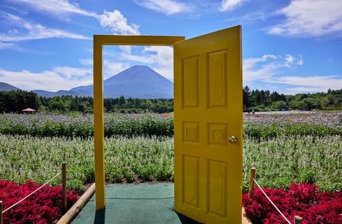 高級ぶどうピオーネ狩り食べ放題！富士山麓の花畑と高原バイキング