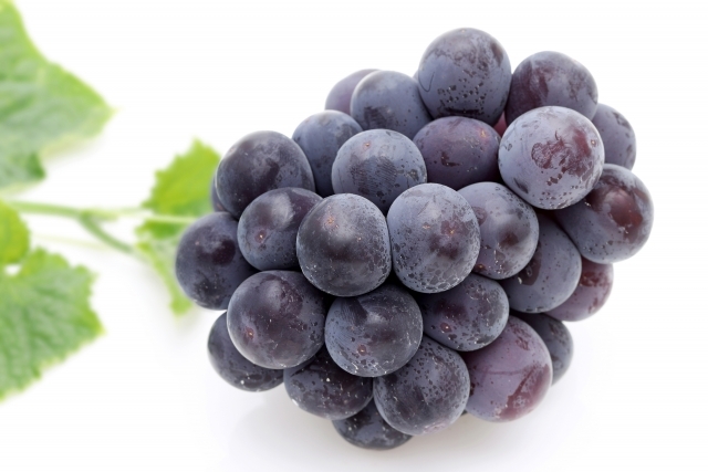 高級ぶどうピオーネ狩り食べ放題！富士山麓の花畑と高原バイキング