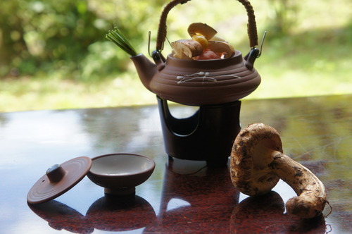 信州松茸フルコース！信州田沢温泉秘湯の旅