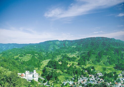 【昼食2回付】山深い湯の里に佇む旅館　越後長岡・山古志村　蓬平温泉「和泉屋」