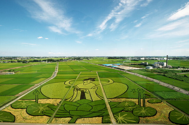 【新一万円札記念】　世界最大の田んぼアート＆渋沢栄一記念館資料室