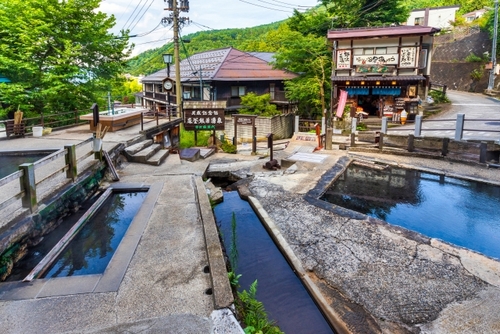 のんびり温泉滞在の旅♪　源泉掛け流しの宿 野沢温泉「朝日屋旅館」