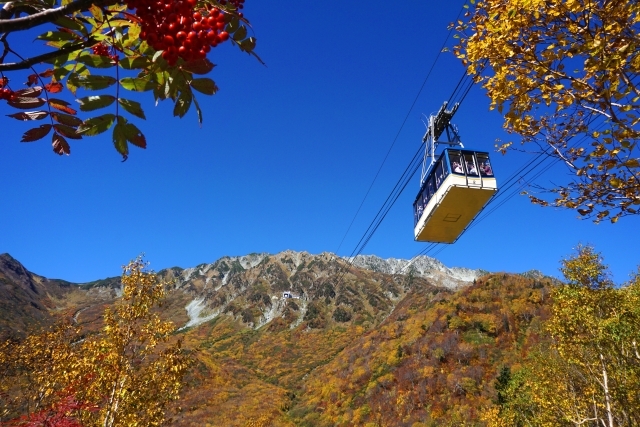日本一の山岳紅葉！立山黒部アルペンルート　森の風立山・立山プリンスホテル