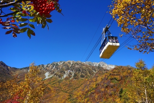 日本一の山岳紅葉！立山黒部アルペンルート　森の風立山・立山プリンスホテル
