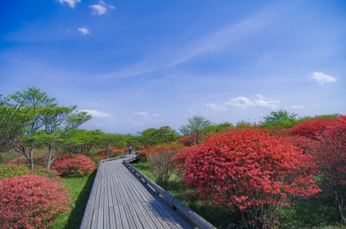 清流望む露天風呂の絶景　川治温泉「湯けむりの里 柏屋」