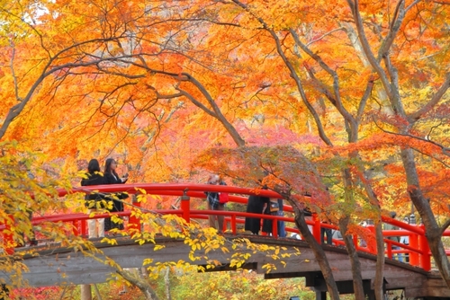 群馬を代表する紅葉の名所へ　秋空の伊香保